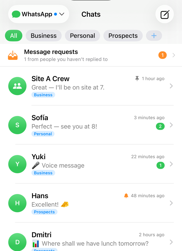 The Queso inbox showing translated conversations.